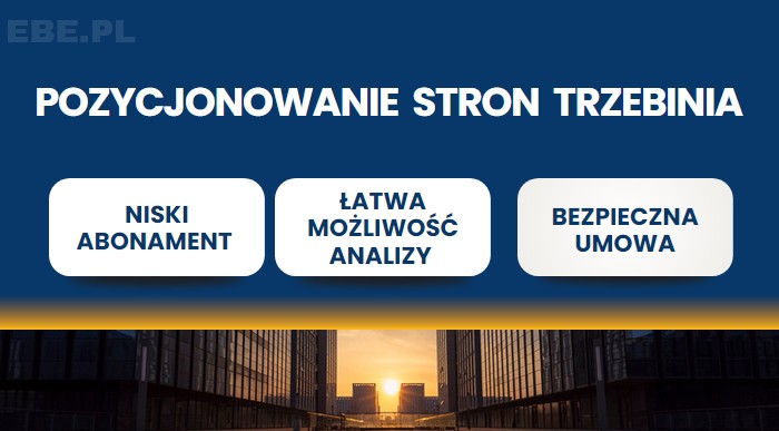 Pozycjonowanie trzebinia