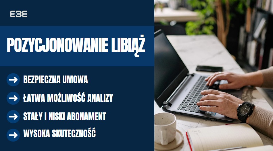 Pozycjonowanie libiaz