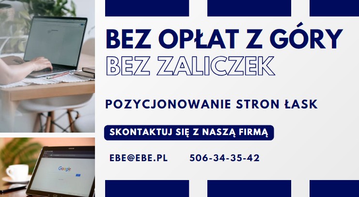 Pozycjonowanie stron internetowych lask
