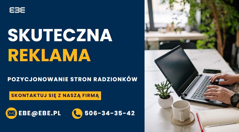 Pozycjonowanie stron internetowych radzionkow