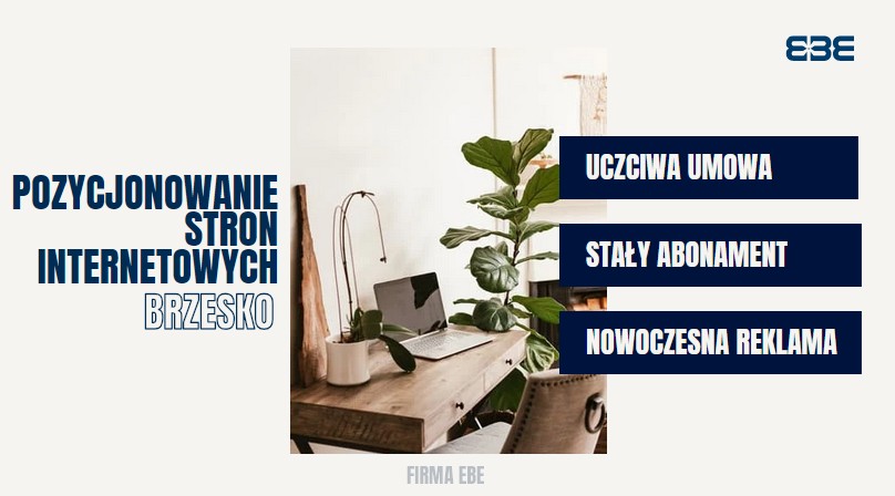 Pozycjonowanie brzesko