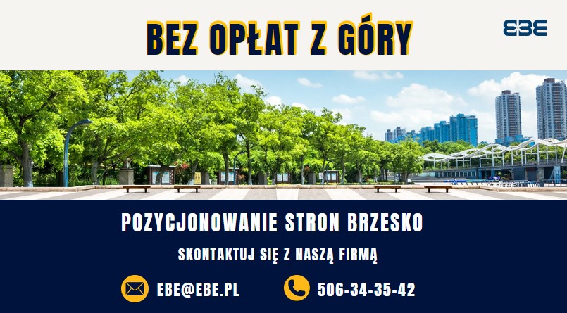 Pozycjonowanie stron internetowych brzesko