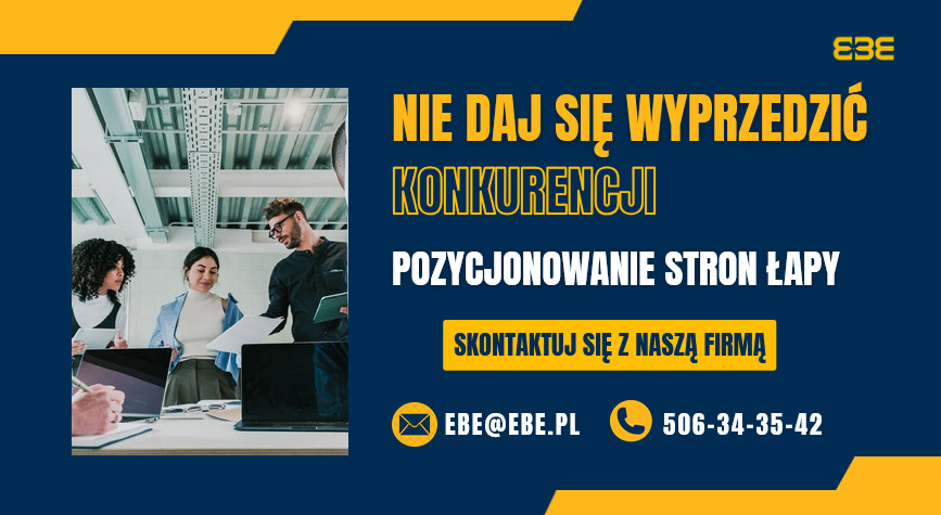 Pozycjonowanie stron internetowych lapy